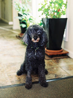 Talk about your brand Talk about your brand