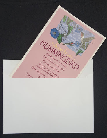 Mail Ready Postcard Envelope