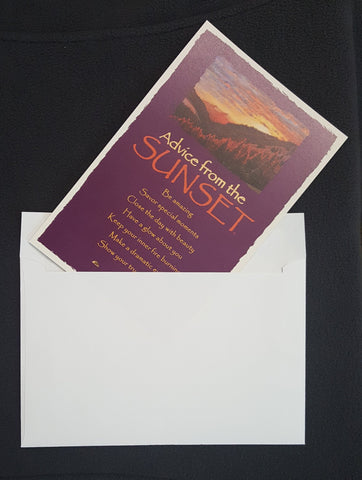 Mail Ready Postcard Envelope