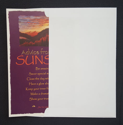 Mail Ready Postcard Envelope