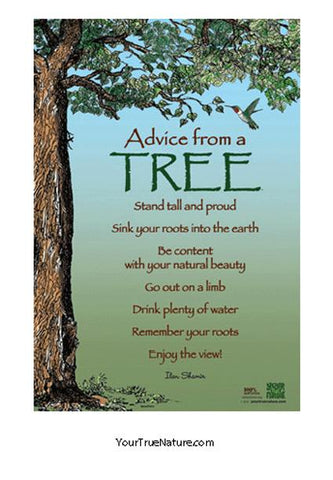 Advice from a Tree Mini Poster
