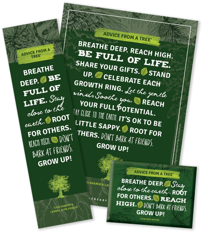 Advice from a Tree - 15th Anniversary Trio