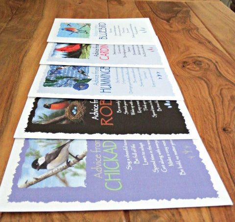 Advice from Nature Bird Greeting Card Set (Blank 15 pack)