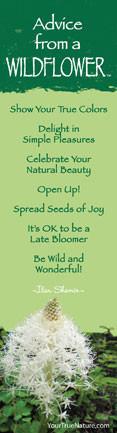 Advice from a Wildflower - Glacier National Park - Laminated Bookmark