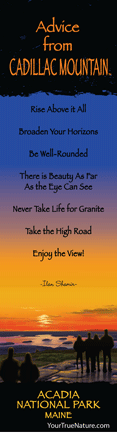 Advice from Cadillac Mountain Laminated Bookmark
