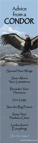 Advice from a Condor Laminated Bookmark