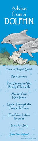 Advice from a Dolphin Laminated Bookmark