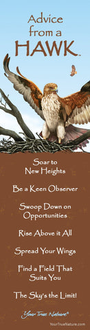 Advice from a Hawk Laminated Bookmark