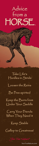 Advice from a Horse Laminated Bookmark