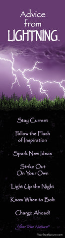 Advice from Lightning Laminated Bookmark