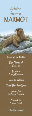 Advice from a Marmot Laminated Bookmark