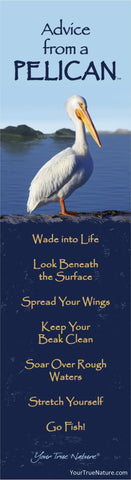 Advice from a Pelican Laminated Bookmark