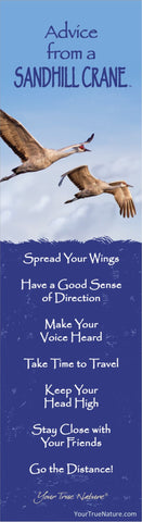 Advice from a Sandhill Crane Laminated Bookmark
