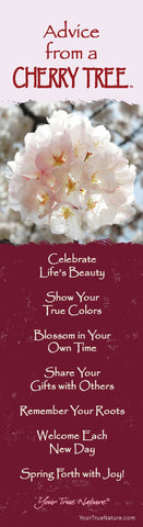 Advice from a Cherry Tree Laminated Bookmark