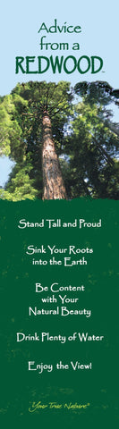 Advice from a Redwood Laminated Bookmark