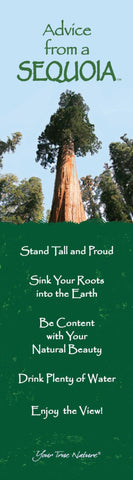 Advice from a Sequoia Laminated Bookmark