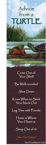 Advice from a Turtle Laminated Bookmark