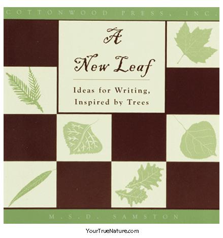 A New Leaf - Ideas for Writing, Inspired by Trees