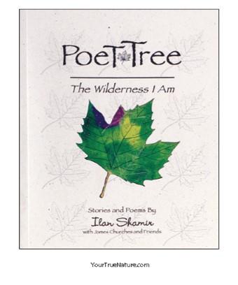 Poet Tree - The Wilderness I Am
