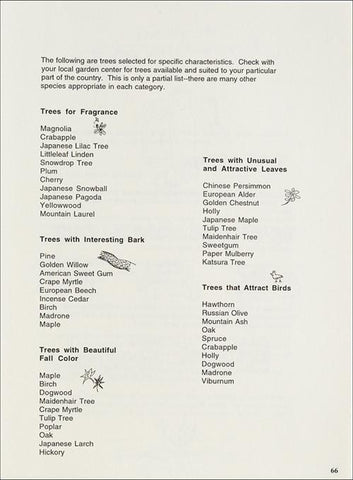 Tree Celebrations! - Planting and Celebrating Trees