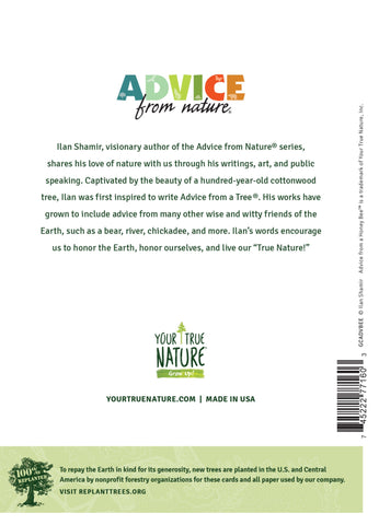 Advice from a Honey Bee Greeting Card - Blank