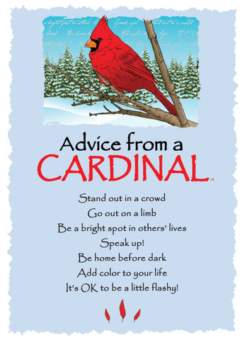 Advice from a Cardinal - Winter - Greeting Card - Blank