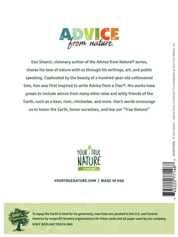 Advice from a Cardinal Greeting Card - Blank