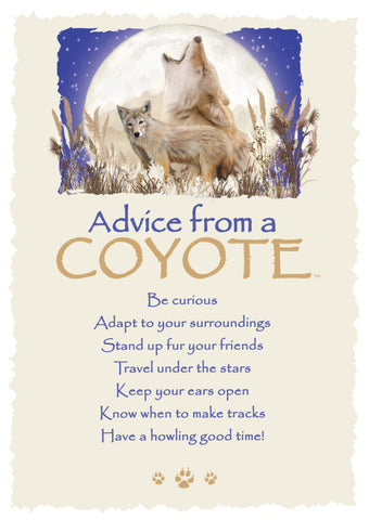 Advice from a Coyote Greeting Card - Blank