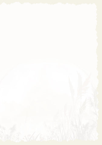 Advice from a Coyote Greeting Card - Blank