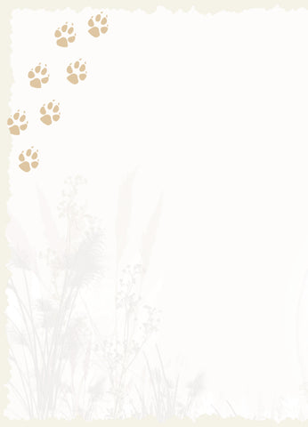 Advice from a Coyote Greeting Card - Blank