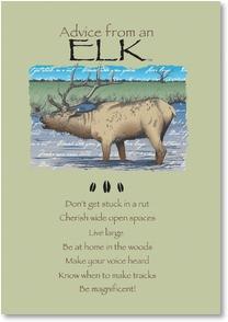 Advice from an Elk Greeting Card - Birthday
