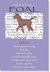 Advice from a Foal Greeting Card - Birthday