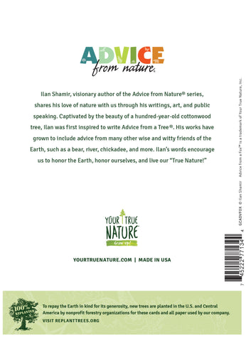 Advice from a Fox Greeting Card - Blank