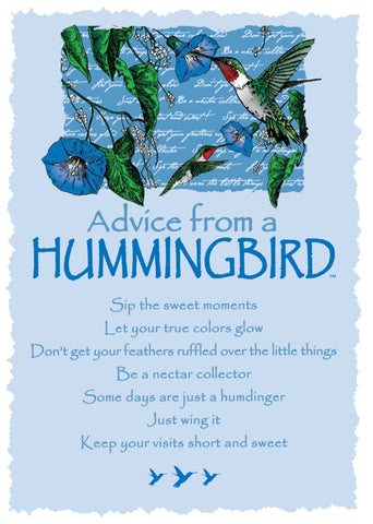 Advice from a Hummingbird Greeting Card - Blank