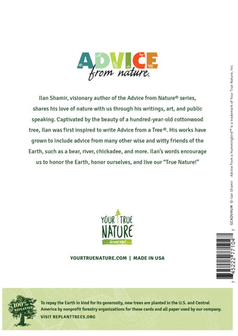 Advice from a Hummingbird Greeting Card - Blank