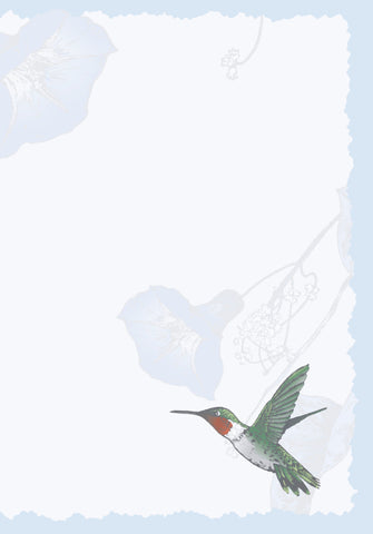 Advice from a Hummingbird Greeting Card - Blank