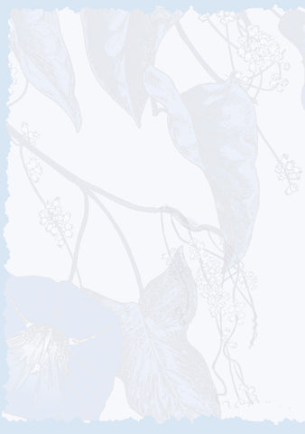 Advice from a Hummingbird Greeting Card - Blank