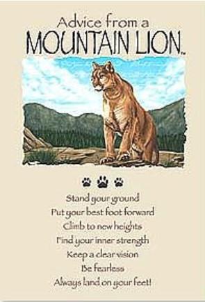 Advice from a Mountain Lion Greeting Card - Birthday