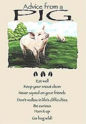 Advice from a Pig Greeting Card - Birthday