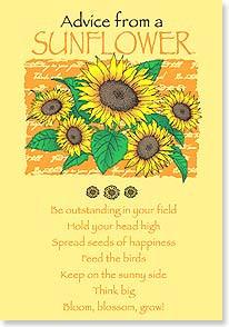 Advice from a Sunflower Greeting Card - Birthday