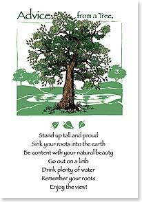 Advice from a Tree Greeting Card - Birthday