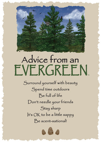 Advice from an Evergreen Greeting Card - Blank