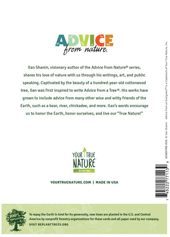 Advice from an Evergreen Greeting Card - Blank