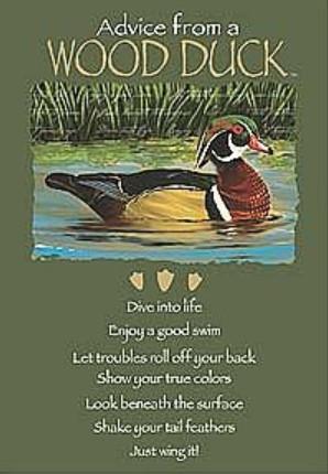 Advice from a Wood Duck Greeting Card - Birthday