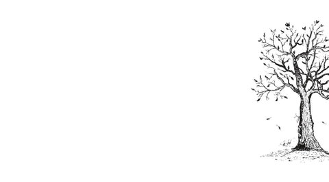 Advice from a Cardinal Greeting Card - Blank