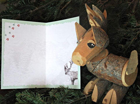 Advice from Nature Holiday Greeting Card Set (Blank 15 pack)