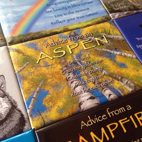 Advice from an Aspen Jumbo Magnet