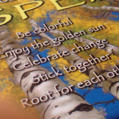 Advice from an Aspen Jumbo Magnet