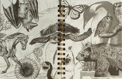 Advice from Nature Minibook