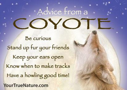 Advice from a Coyote Jumbo Magnet